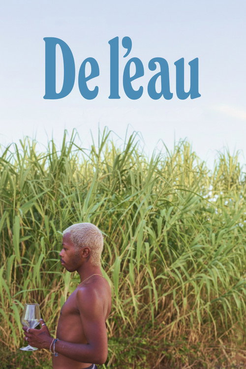 Movie poster for De l'eau (2026)