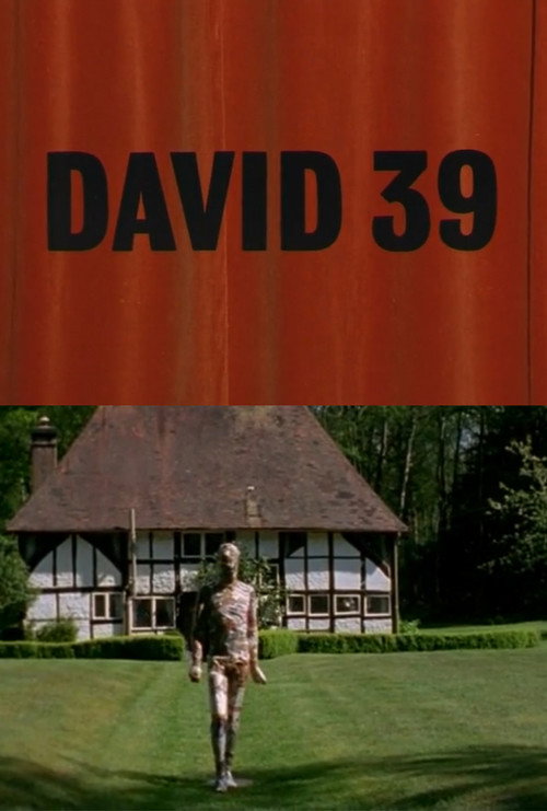 Movie poster for David 39 (2006)