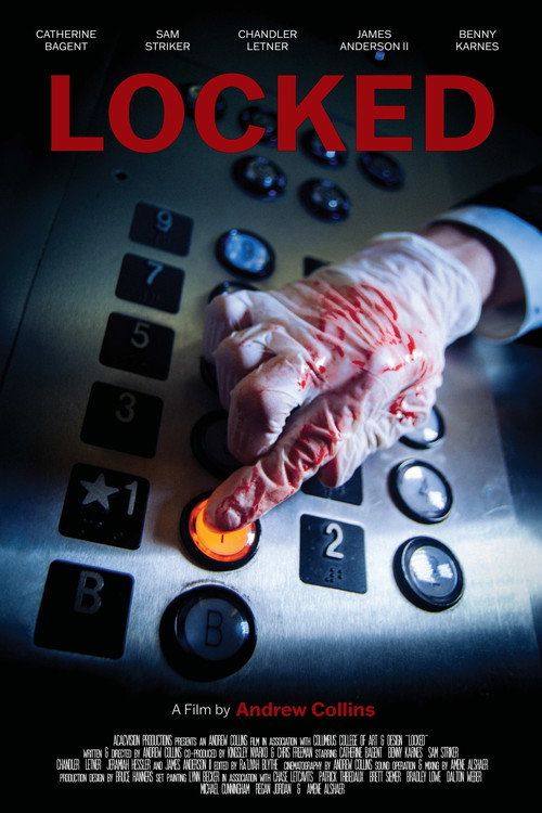 Movie poster for Locked