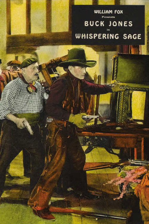 Movie poster for Whispering Sage (1927)