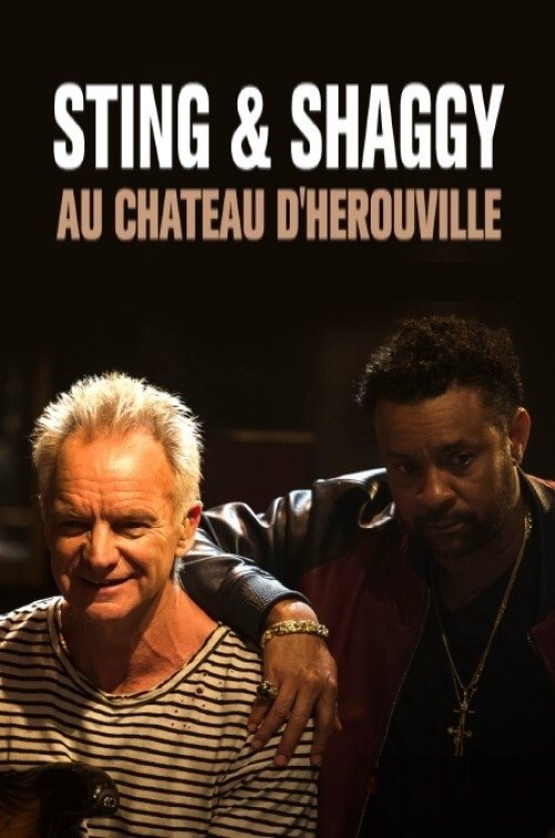 Movie poster for Sting & Shaggy au Château d'Hérouville (2019)