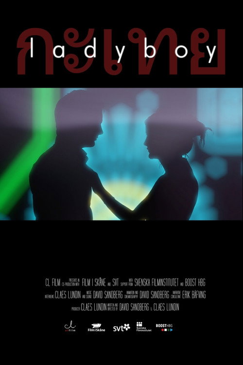 Movie poster for Ladyboy (2012)