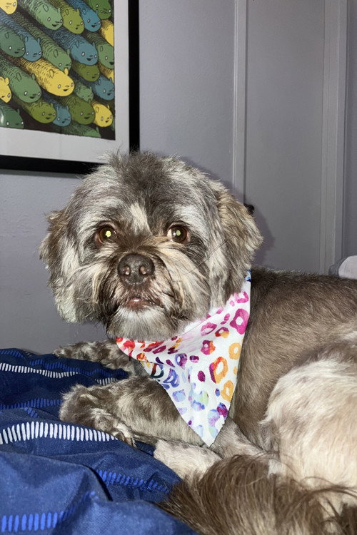 Photo of Cooper, Acting