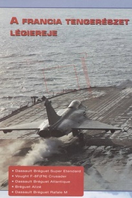 Movie poster for Combat in the Air - French Naval Air Power (1996)