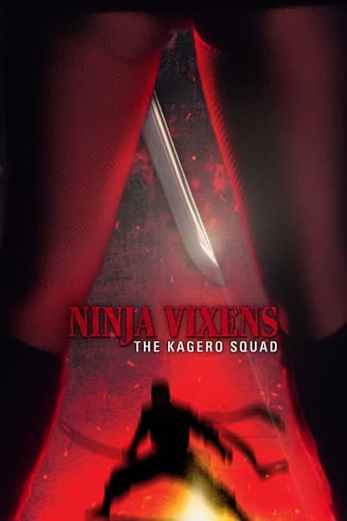 Movie poster for The Ninja Vixens: The Kagero Squad (1990)