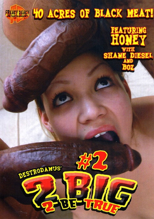 Movie poster for 2 Big 2 Be True 2 (2006)