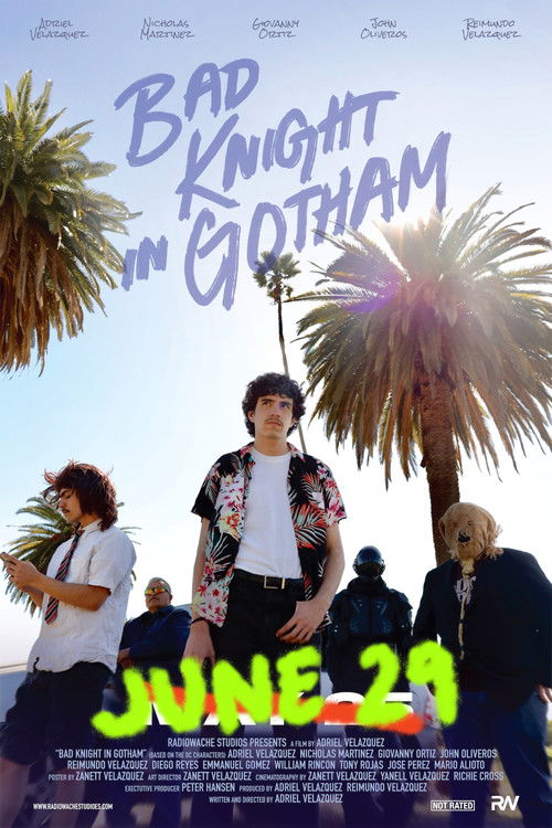 Movie poster for Bad Knight In Gotham (2024)