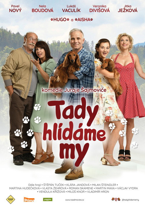 Movie poster for Tady hlídáme my (2021)