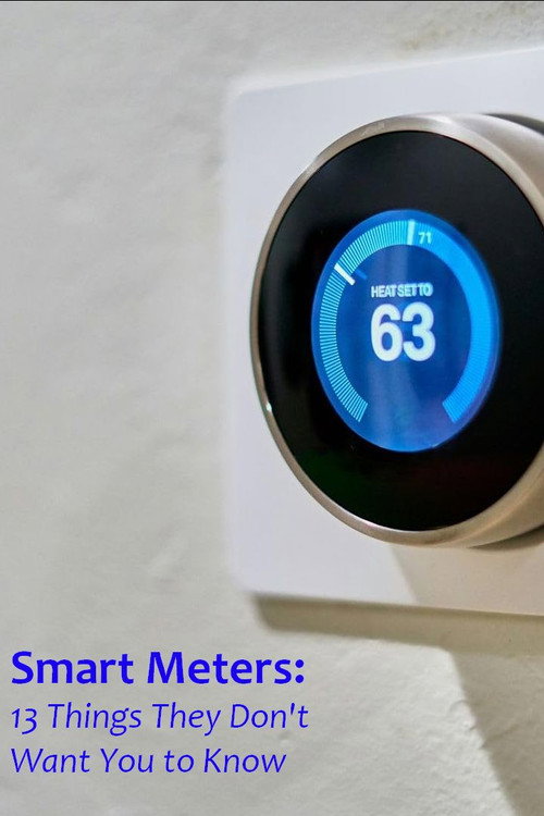 Movie poster for Smart Meters: 13 Things They Don't Want You to Know (2024)