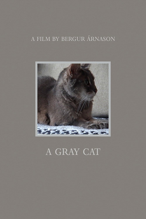Movie poster for A Gray Cat (2021)