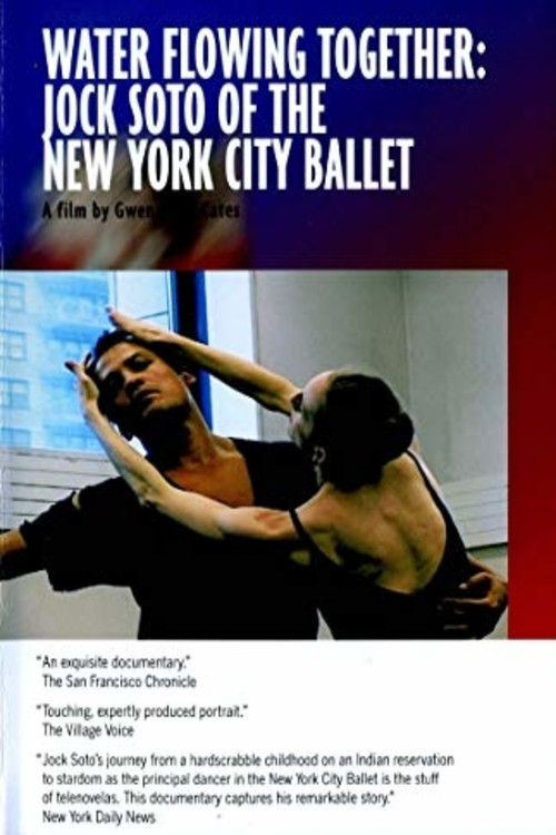 Movie poster for Water Flowing Together (2008)