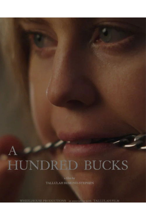 A Hundred Bucks poster