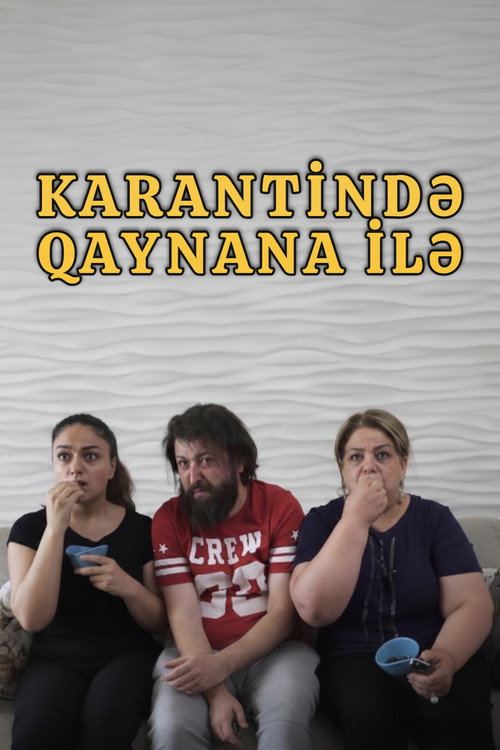 Movie poster for In Quarantine with Mother-in-law (2020)