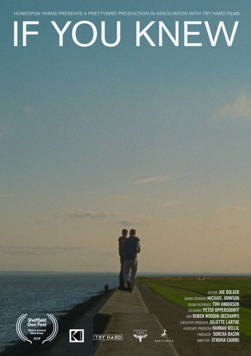 Movie poster for If You Knew (2019)