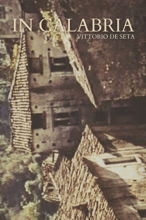 Movie poster for In Calabria (1993)