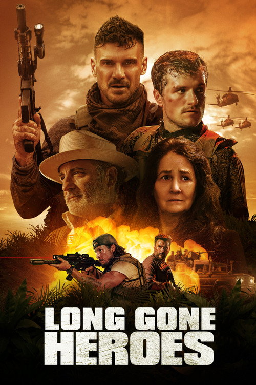 Movie poster for Long Gone Heroes (2024)