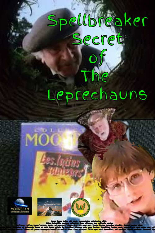 Movie poster for Spellbreaker: Secret of the Leprechauns (1996)