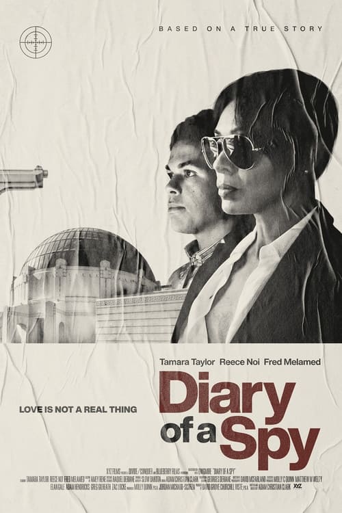 Movie poster for Diary of a Spy (2022)