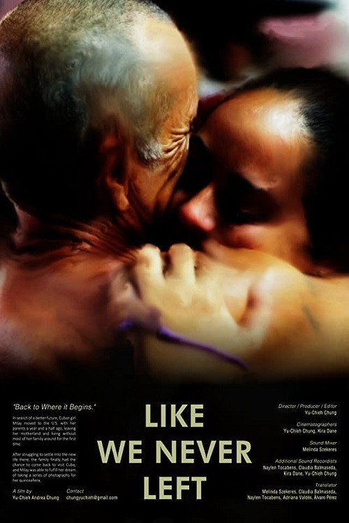 Movie poster for Like We Never Left (2016)