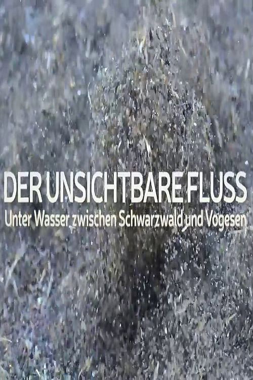 Movie poster for Un fleuve invisible (2019)