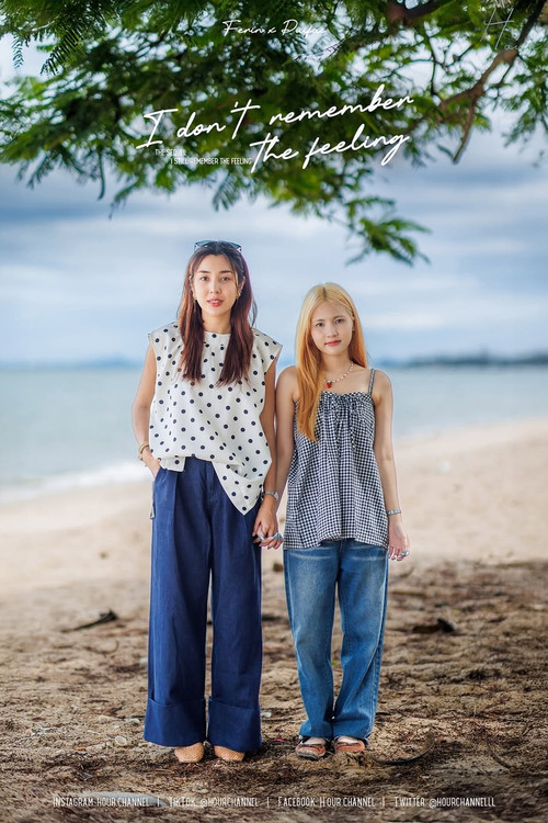 I don't remember the feeling poster