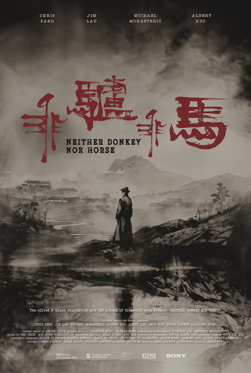 Movie poster for Neither Donkey Nor Horse (2024)