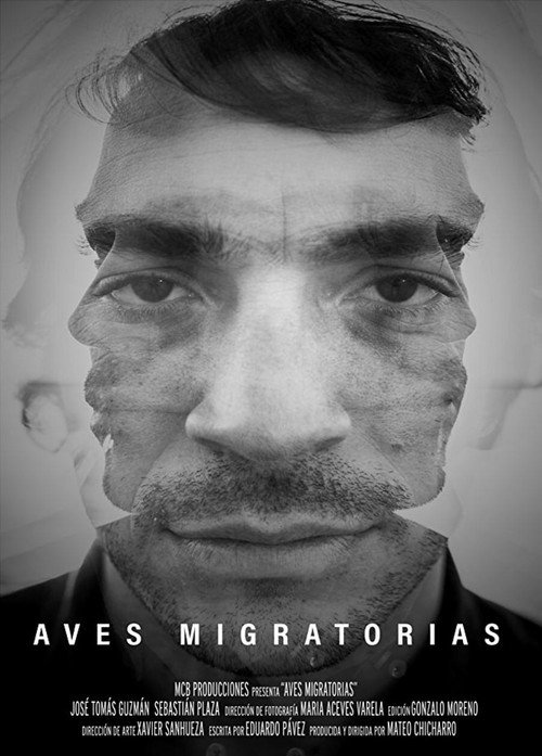 Movie poster for Migratory Birds (2018)