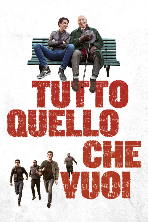 Movie poster for Everything You Want (2017)