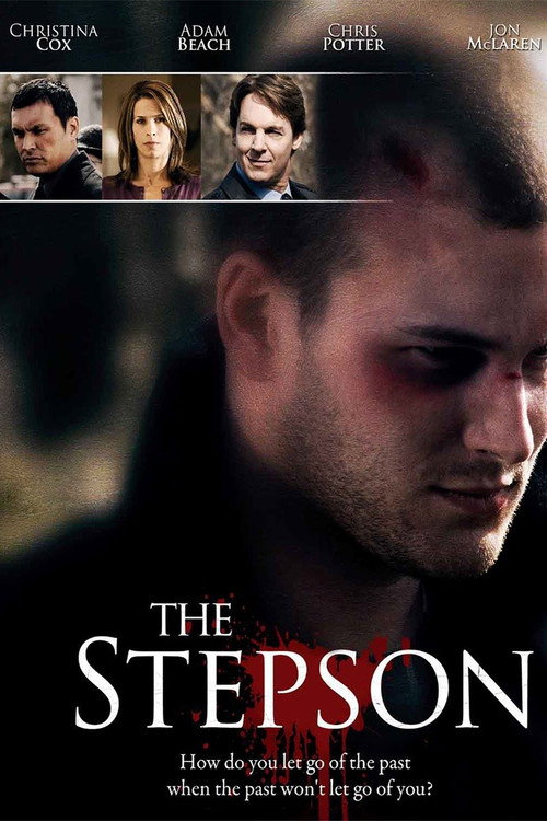 Movie poster for The Stepson (2010)