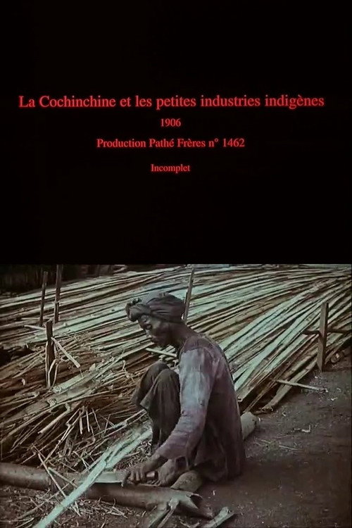 Movie poster for La Cochinchine et les petites industries indigènes (1906)