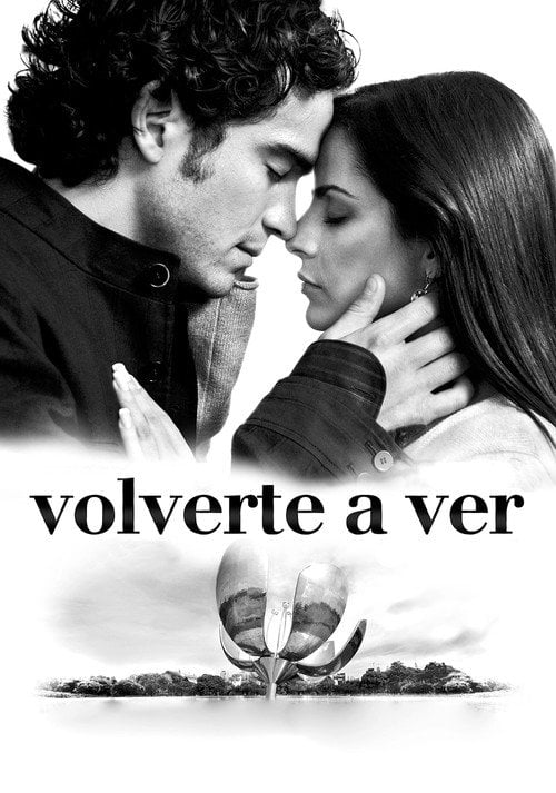 Movie poster for Volverte a ver (2008)