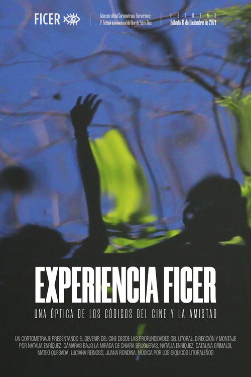 Movie poster for Experiencia FICER (2021)
