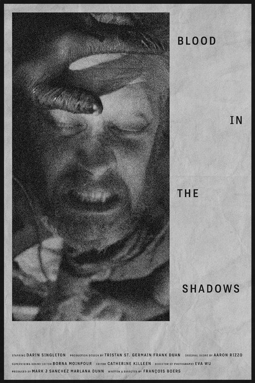 Movie poster for Blood in the Shadows (2025)