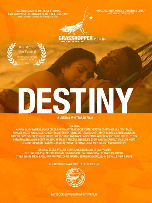 Movie poster for Destiny (2014)