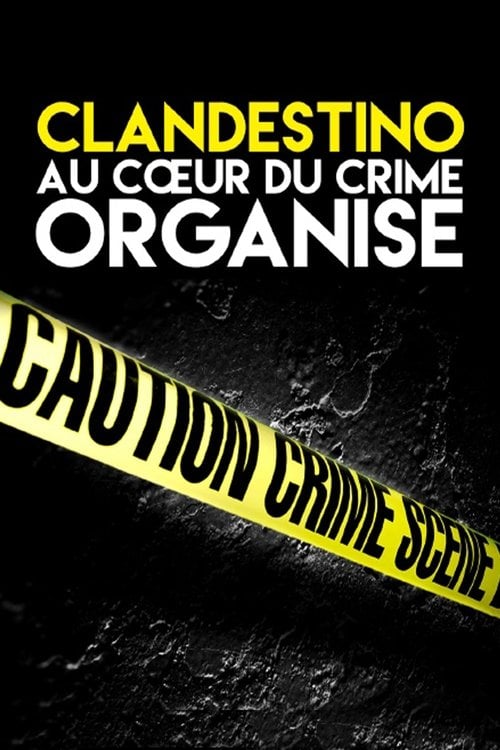 Series poster for Clandestino (2016)