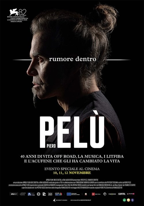 Movie poster for Piero Pelù - Rumore dentro (2025)