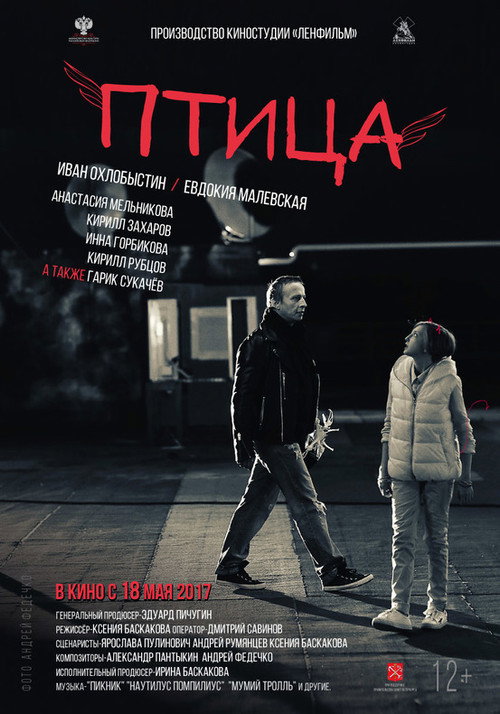 Movie poster for The Bird (2017)