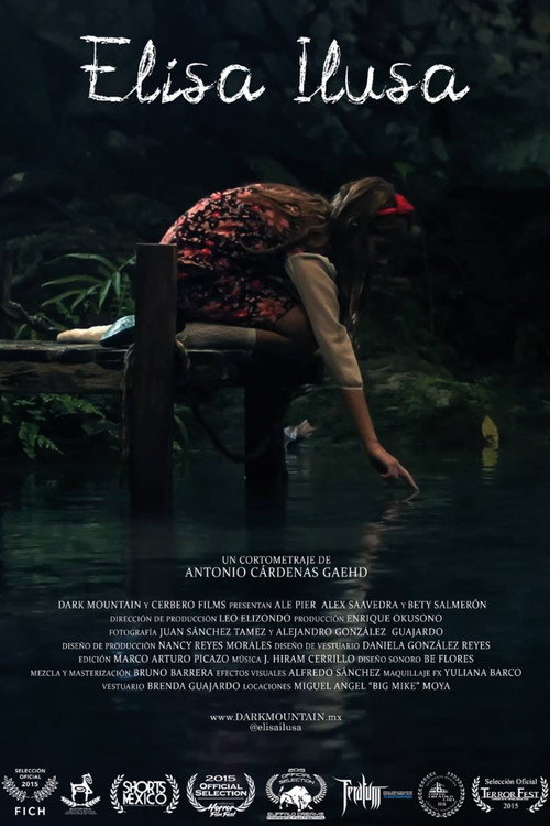 Movie poster for Elisa Ilusa (2015)