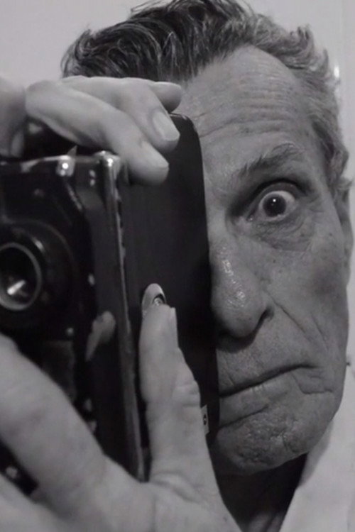 Photo of Sylvio Lanna, Directing