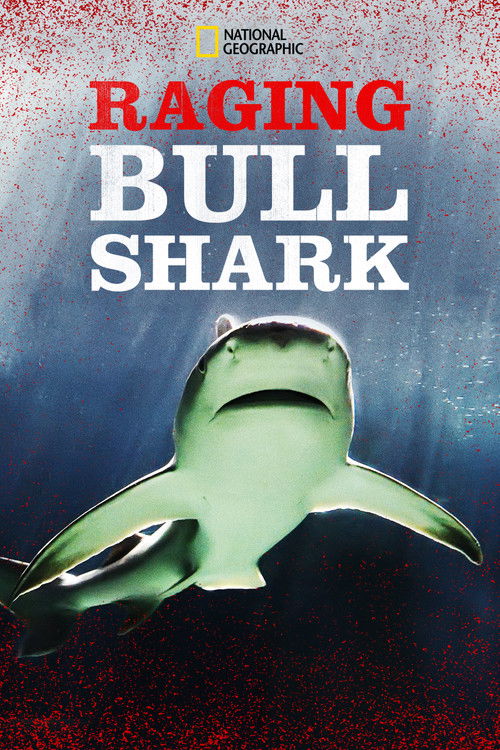 Movie poster for Raging Bull Shark (2020)