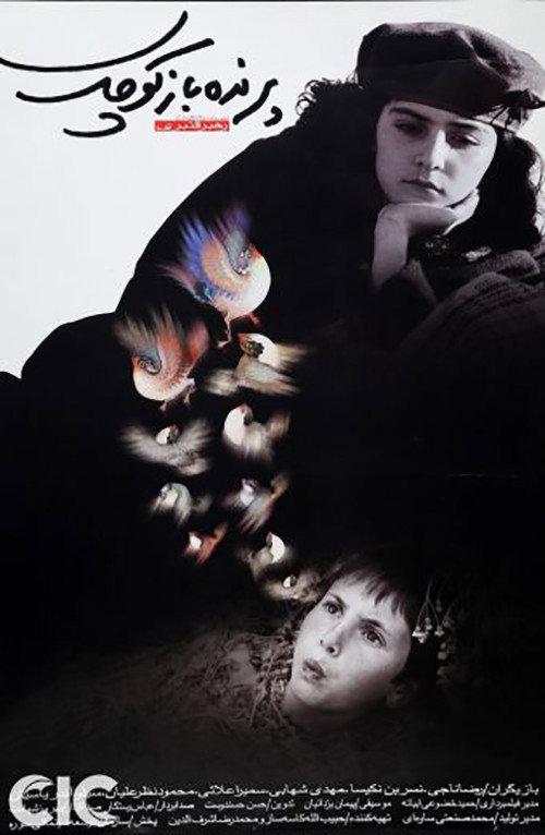 Movie poster for The Little Bird Boy (2002)