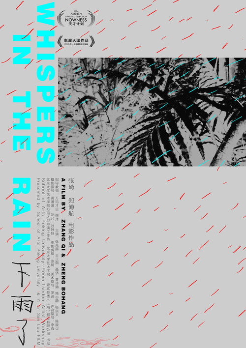 Movie poster for Whispers in the Rain (2024)
