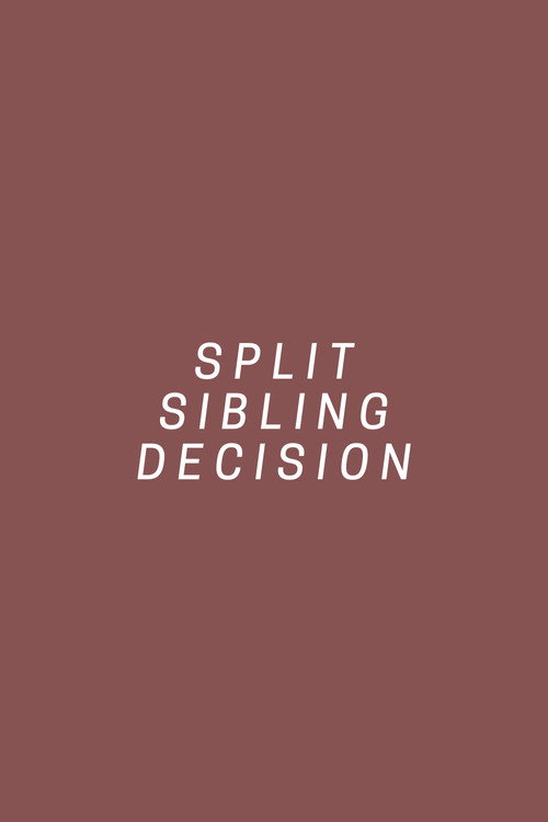 Movie poster for Split Sibling Decision (2017)