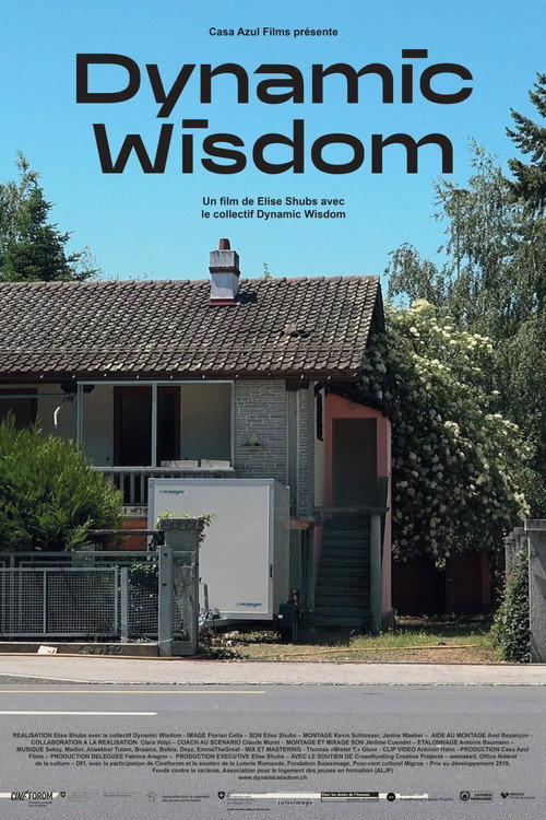 Movie poster for Dynamic Wisdom (2022)