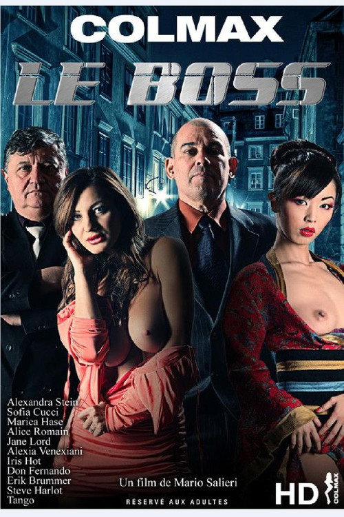Movie poster for L'uomo dei sogni (2013)