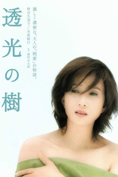 Movie poster for Translucent Tree (2004)