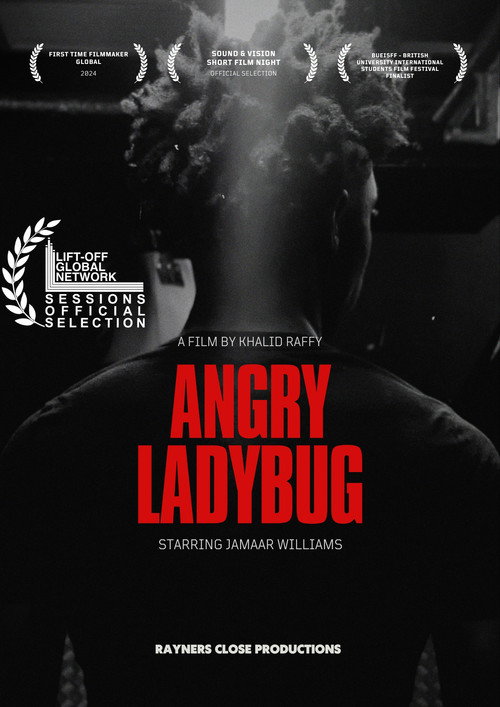 Movie poster for Angry Ladybug (2024)