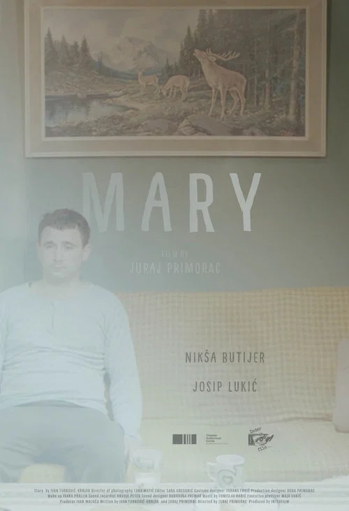 Movie poster for Mary (2017)