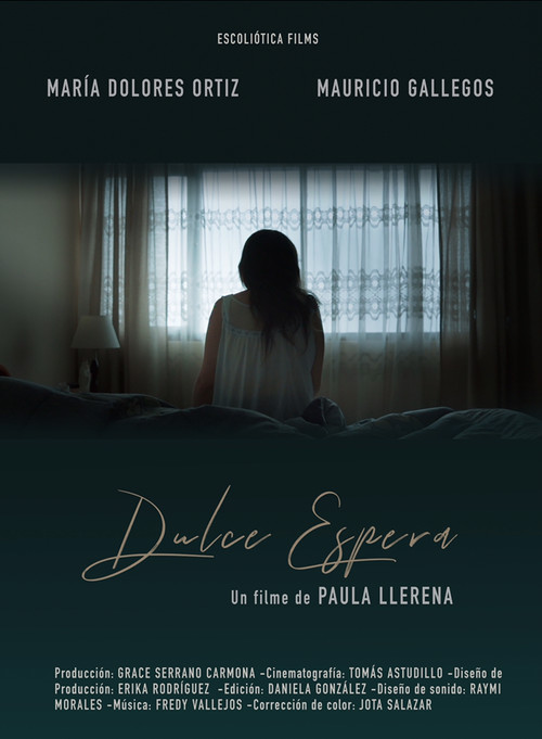 Movie poster for Dulce espera (2018)
