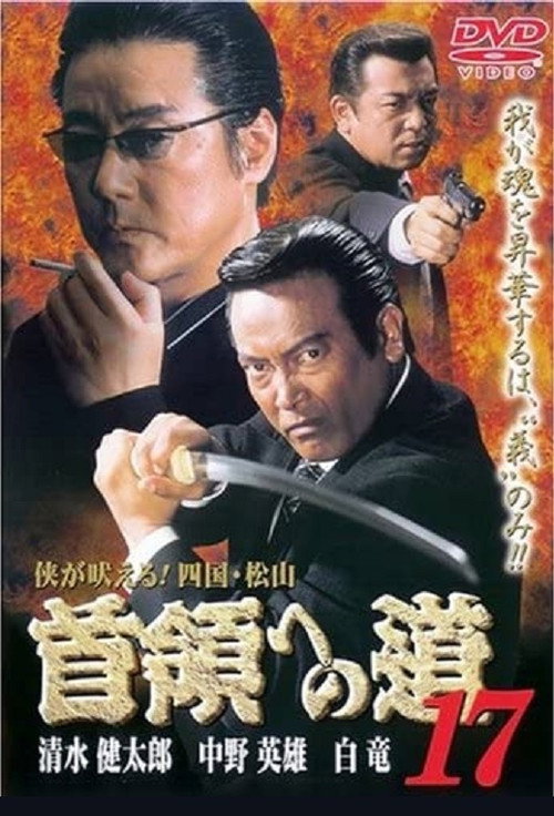 Movie poster for Road to the Don 17 (2001)